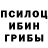 Псилоцибиновые грибы Psilocybine cubensis 3D NEXT