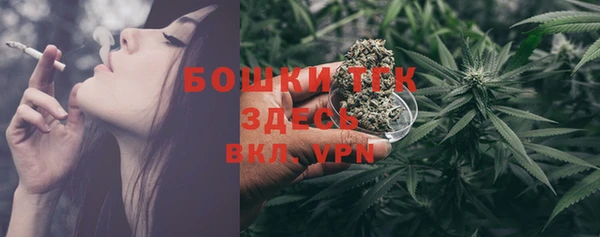 стаф Покачи
