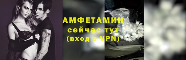 стаф Покачи