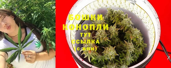 стаф Покачи