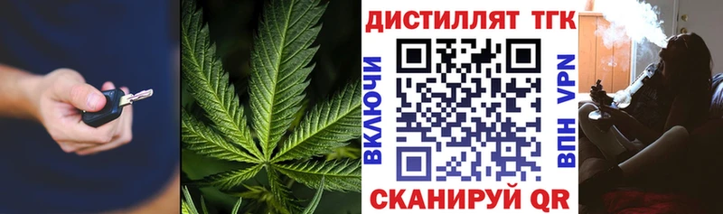 ТГК вейп с тгк  Новая Ладога 