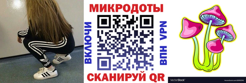 купить наркоту  Новая Ладога  Галлюциногенные грибы мухоморы 